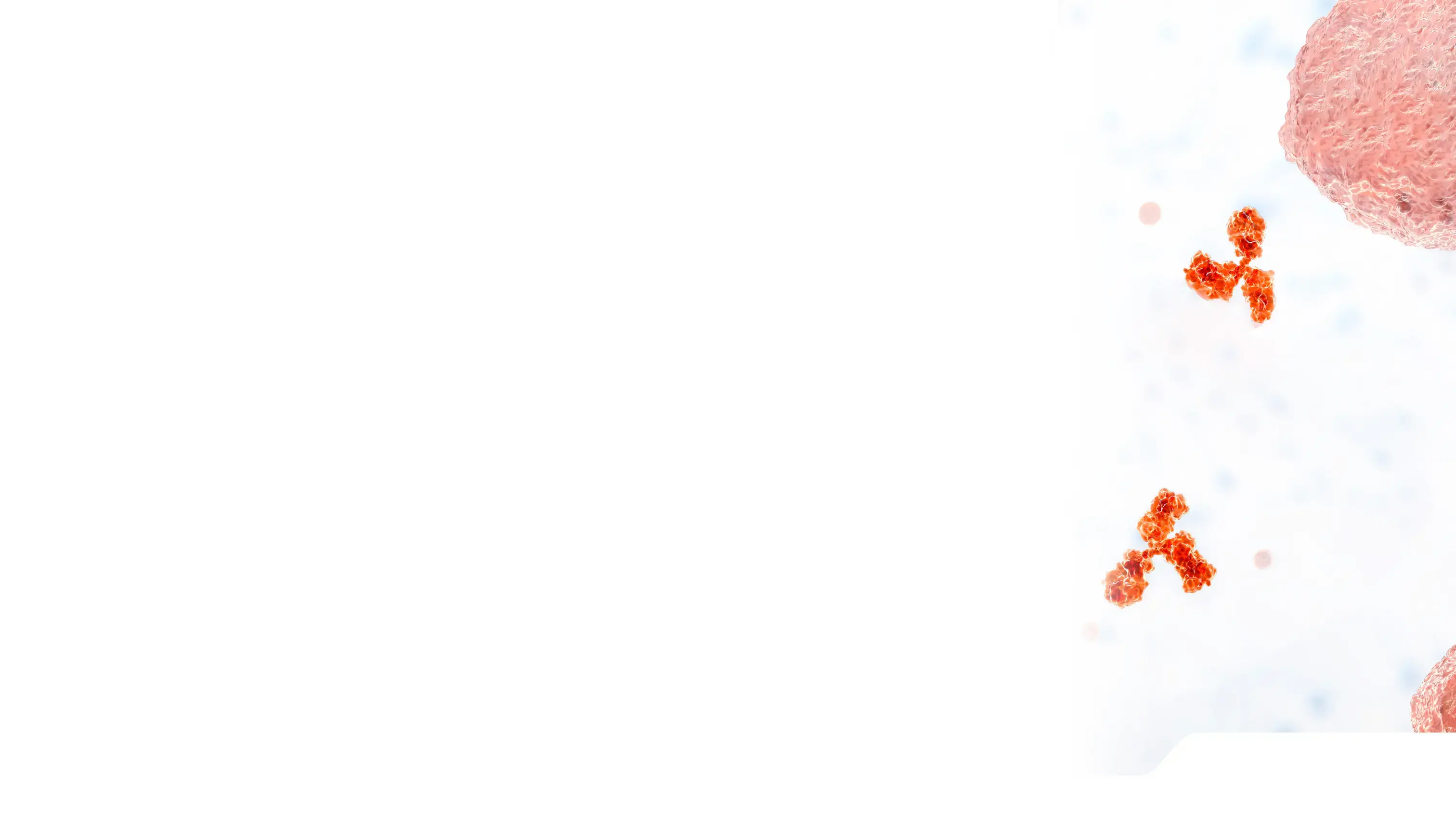 scientific imagery depicting antibodies.