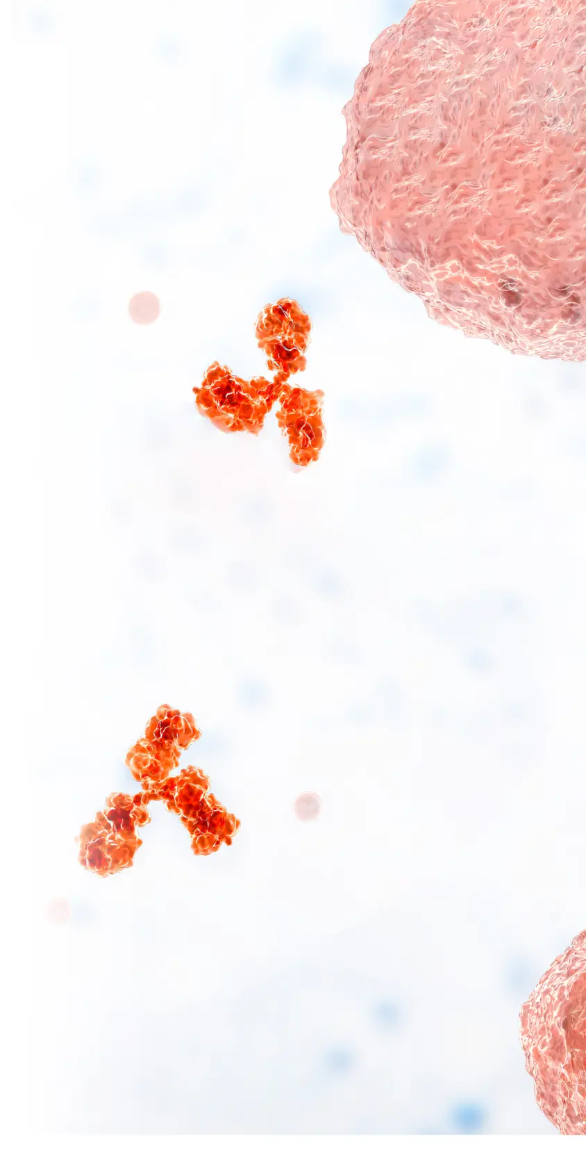 scientific imagery depicting antibodies.